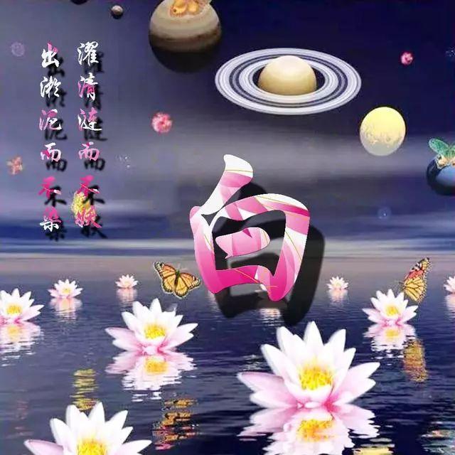 荷花头像图片大全，荷花头像高清图