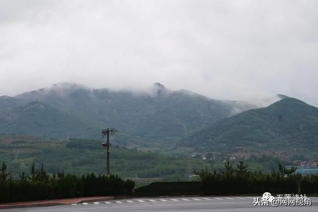 海棠微雨共归途明信片画师，当读者分不清自己定位时