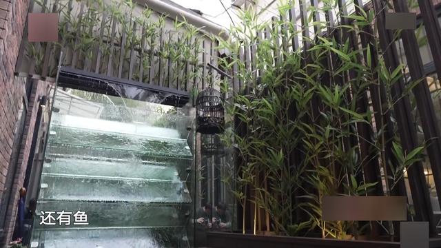庭院小溪魚池設計，庭院魚池設計成功的七大要素