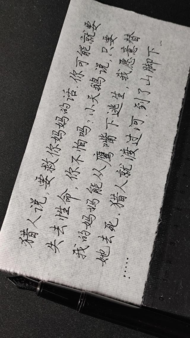 关于黑颈天鹅的故事，感情最专一的黑颈天鹅