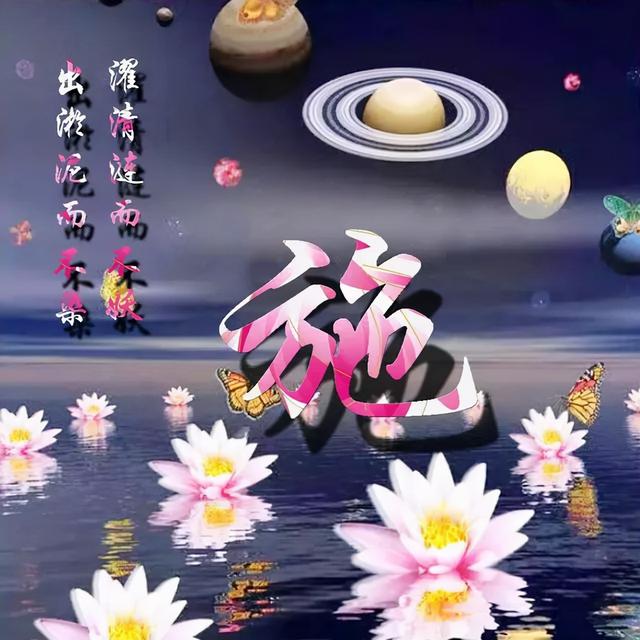 荷花头像图片大全，荷花头像高清图