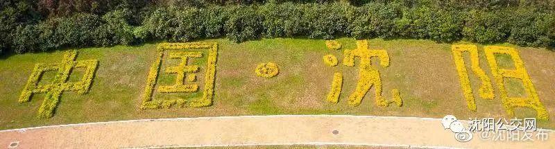 我们身边的沈阳，他曾数十次翱翔在沈阳的上空