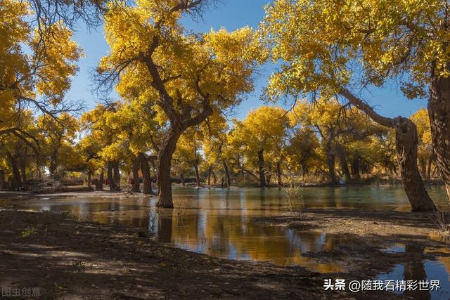 内蒙古旅游景点大全，内蒙古必看景点（盘点内蒙古26个最好玩的景区景点）