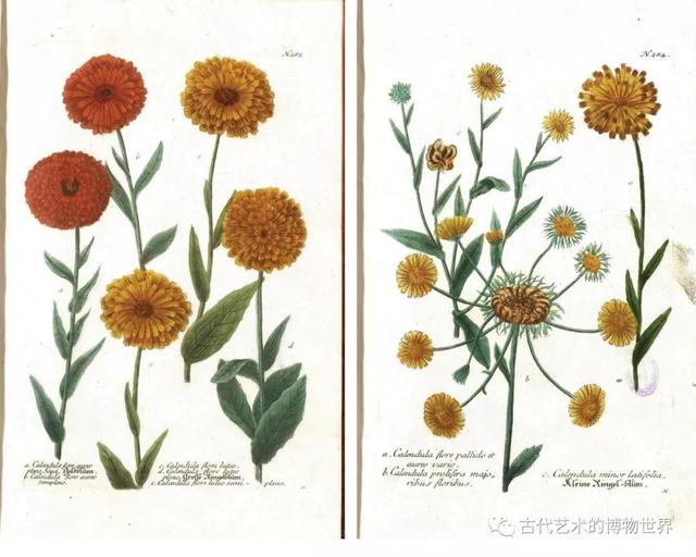 希腊神话之花神，古希腊神话中爱情的神（绘画中的“名”女人之带来花香与希望的女人——提香的《花神》）