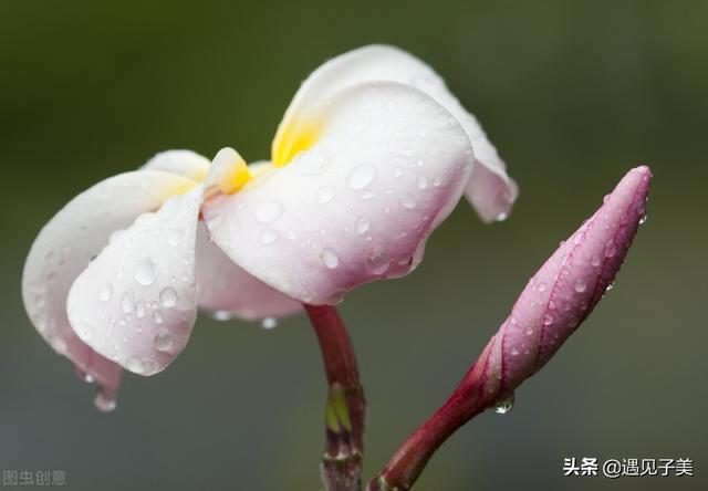 小楼一夜听春风春雨，小楼一夜听春雨