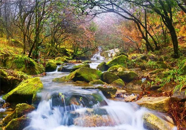 江西必打卡景点武功山，这份吉安武功山旅游攻略请收好