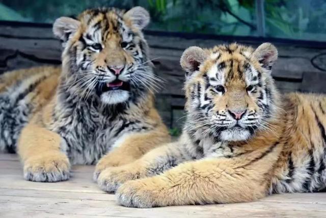 西昌三日游最佳路线，四川旅游攻略景点必去三日游