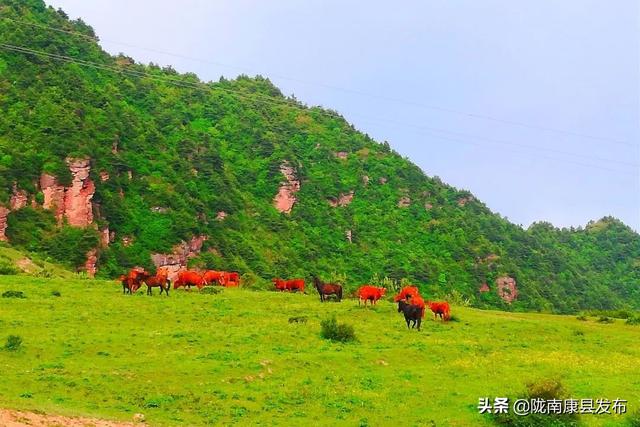明月山景区有哪些景点，康县名山之明月山