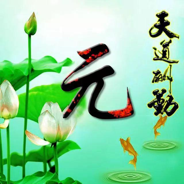 荷花头像图片大全，荷花头像高清图