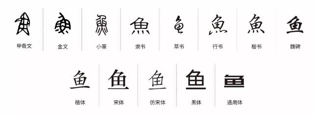 字体大全对照表，常用字体大全对照表（你所不知道的甲骨文）