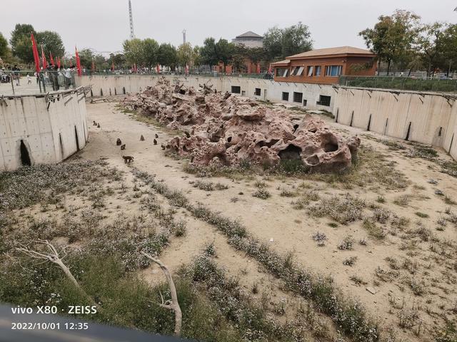 石家庄动物园攻略，石家庄动物园游玩自带饭攻略