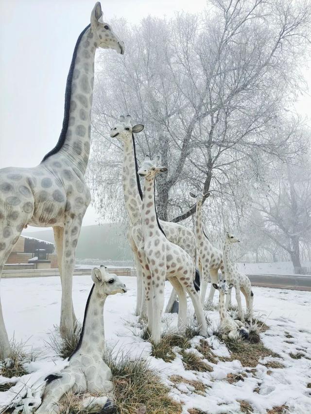 吉林雾凇景色奇特三九严寒，冰天雪地中的美景——吉林雾凇