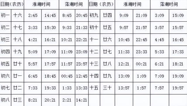 洞头冬天还能不能赶海，天气这么好去洞头赶海啊