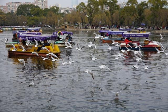 冬季旅游最佳去处，冬季旅游景点推荐（ChatGPT评中国十大旅游胜地排行榜）