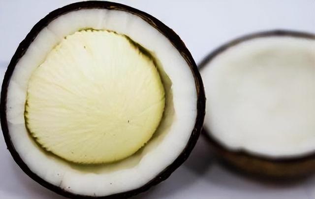 椰子蛋简短，椰子蛋22