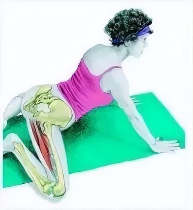 10分钟懒人拉伸训练动作，这6组33个拉伸动作绝了