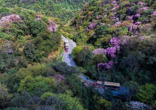 重庆一日游最佳路线图，重庆自驾一日游景点推荐