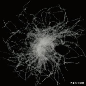 羽绒服执行标准，国标羽绒服标准