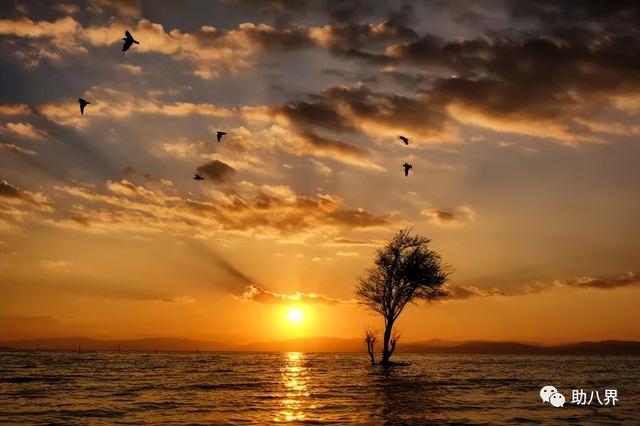 云南旅游交通图，云南自驾游最美线路图一天