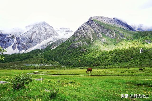 四川最好的草原花海，四川这地有块红草地