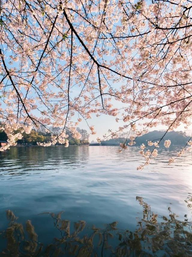 春天去哪里旅游，最适合春天去的7大旅游景点