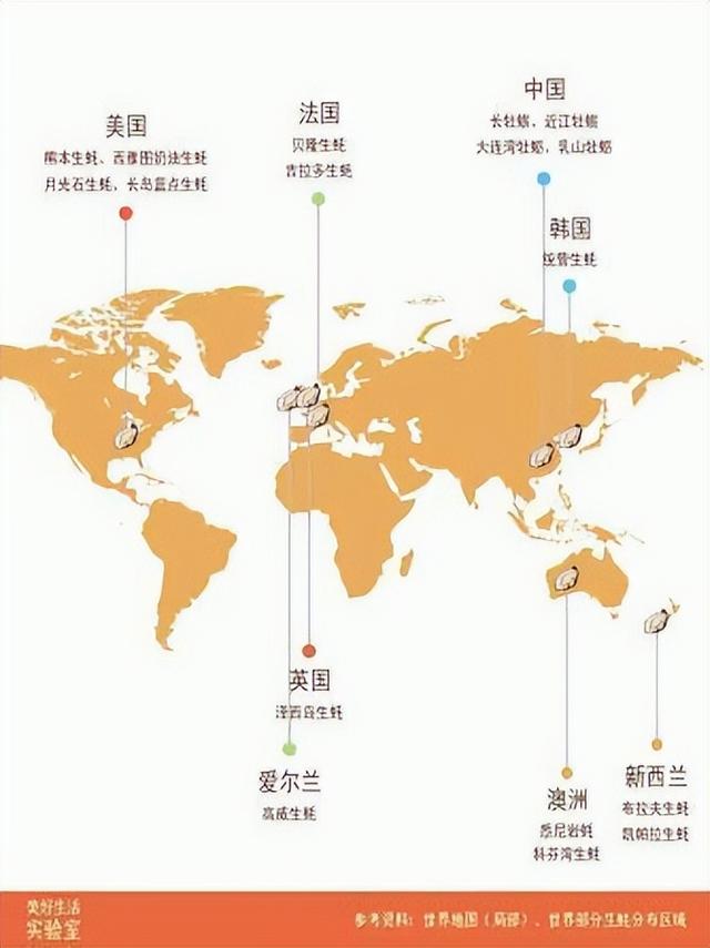 福建珍珠蚝跟鲜活生蚝的区别，舌尖福建漳州