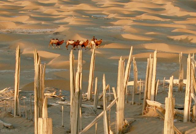 塔克拉玛干沙漠最美自驾路线，自驾塔克拉玛干