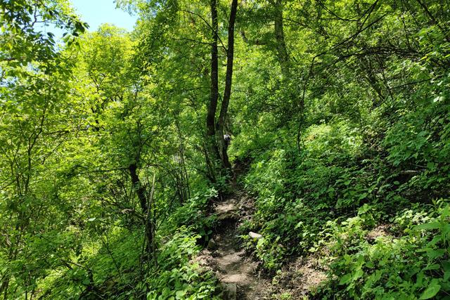 尖山风景区攻略，假期一家人出游蔚县飞狐峪里的尖山