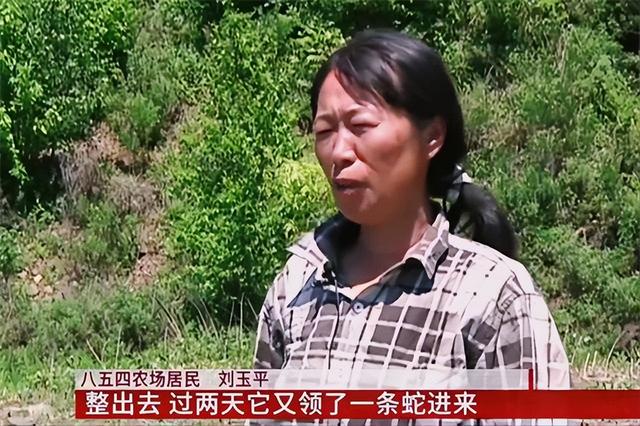 东北诡事真实案例，奇女子刘玉平和大蛇同吃同睡