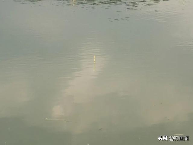 钓什么鱼用什么钩，钓鲫鱼草鱼鲤鱼都用什么钩（每一个都有自己的优点）