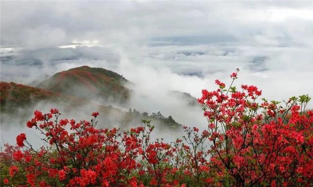 江西必打卡景点武功山，这份吉安武功山旅游攻略请收好