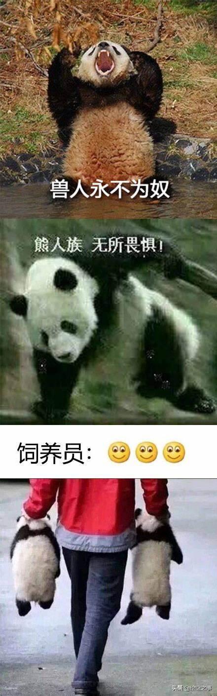 哥特式金属私生子，有什么游戏和帝国时代一样的游戏（却机翻玩烂梗来忽悠）
