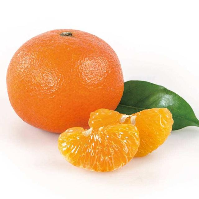 橘子的品种有哪些，柑橘品种有哪些