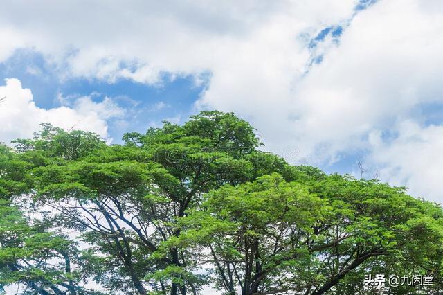 易经解说篇，才能真正掌握《易经》