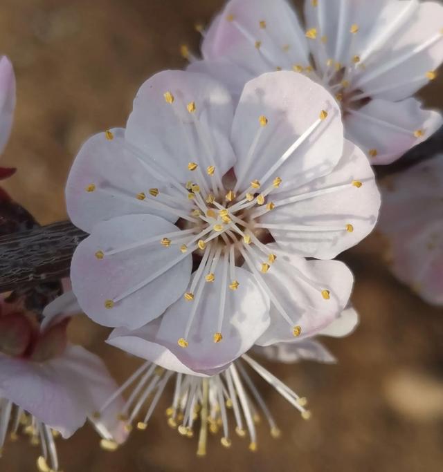 四月份是什么季节，四月份的时候是什么季节了