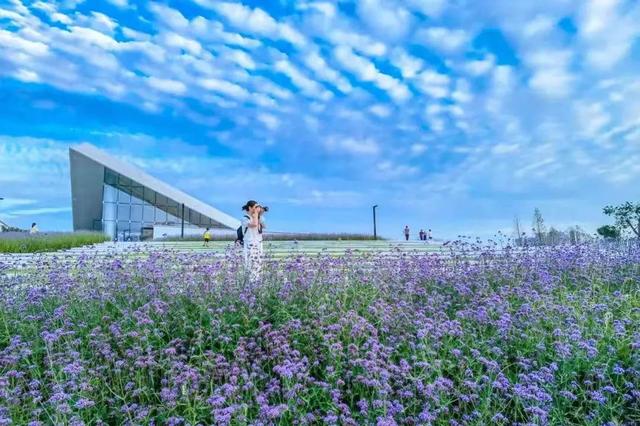 9月成都周边最适合露营，不出成都市区打卡9大露营野餐拍照地