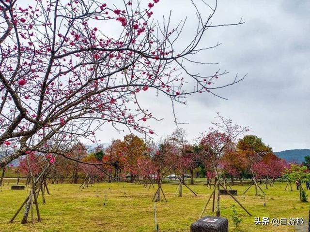 日本赏樱花著名景点，这些赏樱地等你打卡