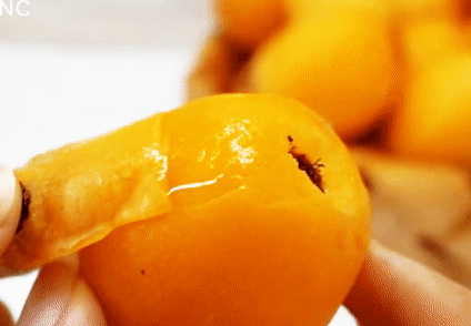 同样是大五星枇杷，四川米易枇杷几月成熟