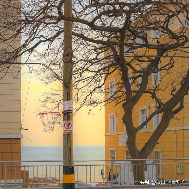 最透彻的人生感悟，人生精辟的感悟（透彻到噎死人的好句子）