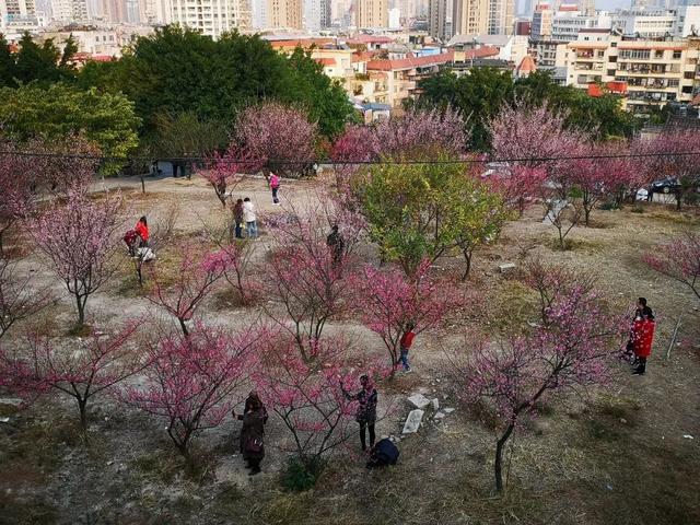 莆田普陀山在哪，莆田普陀山风景区