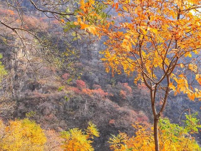 河北省保定十大旅游景点，河北保定值得推荐的十六个旅游景点