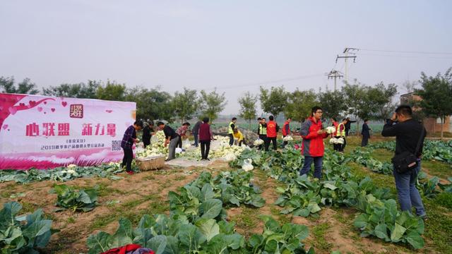 河北电视台农民频道非常帮助，河北农民频道高清直播观看（“非常帮助调解室”在阜城县崔庙镇挂牌）