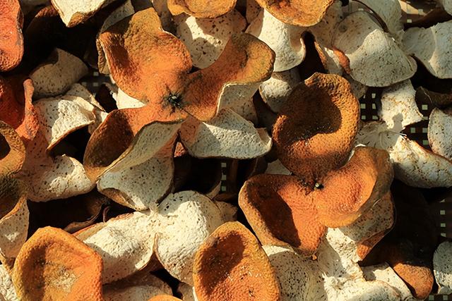 最便宜的新会陈皮多少钱一斤，新会陈皮价格揭秘