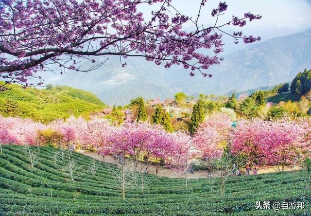 日本赏樱花著名景点，这些赏樱地等你打卡