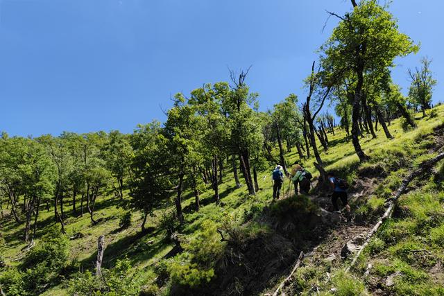 尖山风景区攻略，假期一家人出游蔚县飞狐峪里的尖山