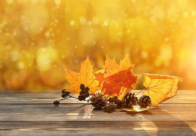 相亲聊天话题100个，相亲可以聊些什么话题