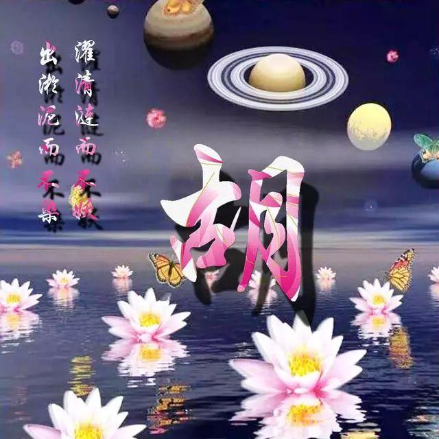 荷花头像图片大全，荷花头像高清图