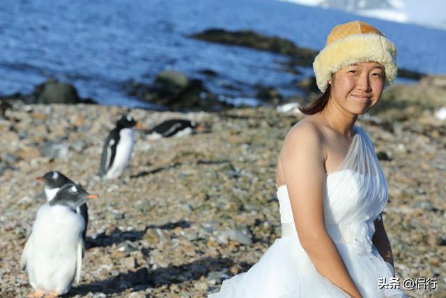 侣行夫妇的记录，中国最牛夫妻：北极求婚