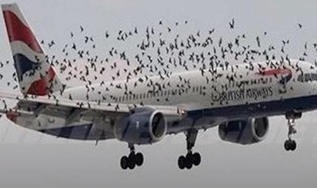 东航737客机坠毁事件详情，为什么东航737客机会坠毁