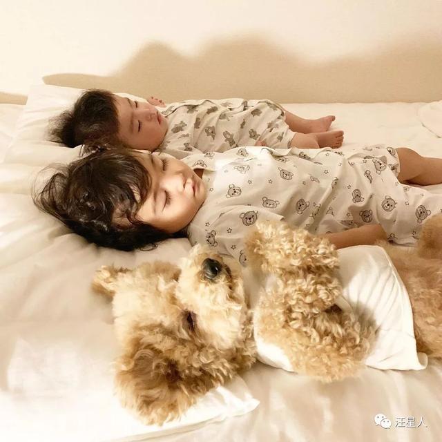 小奶狗可爱超萌照，一波小奶狗萌照